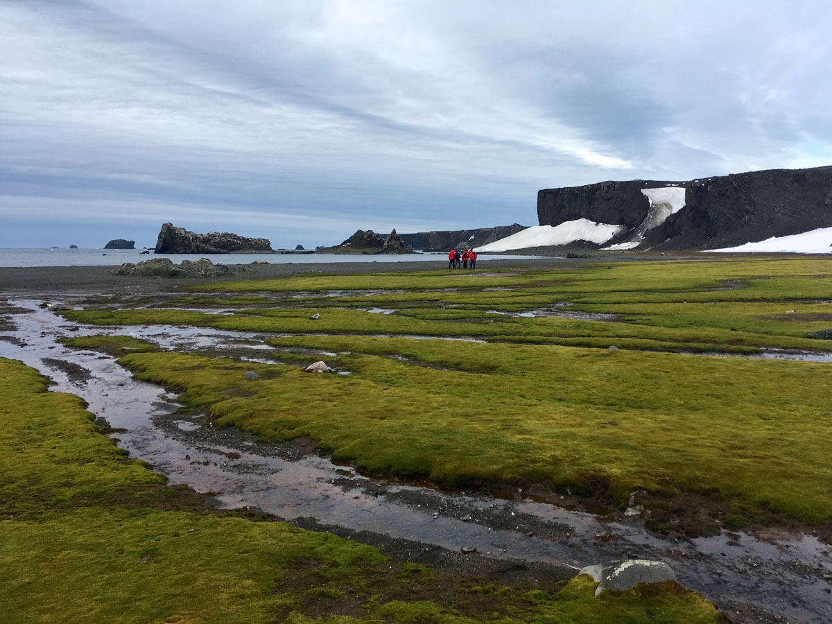 Scientists walk on a beach covered with moss on Fildes peninsula, King George Island, Antarctica on February 1, 2018.