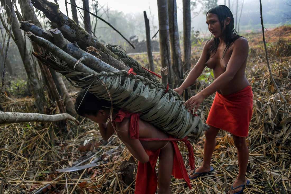 A Waiapi boy and his mother carry wood for a fire pit, at the Manilha village in the Waiapi indigenous reserve in Amapa state in Brazil on October 13, 2017. When Waiapis walks into the Amazon forest surrounding their village, they do not see trees, but a