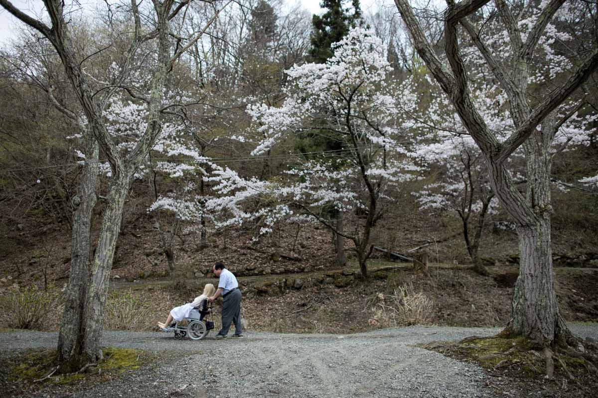 Senji Nakajima con su muñeca Saori bajo los cerezos en flor, en Yamanashi, Japón,el 21 de abril de 2017