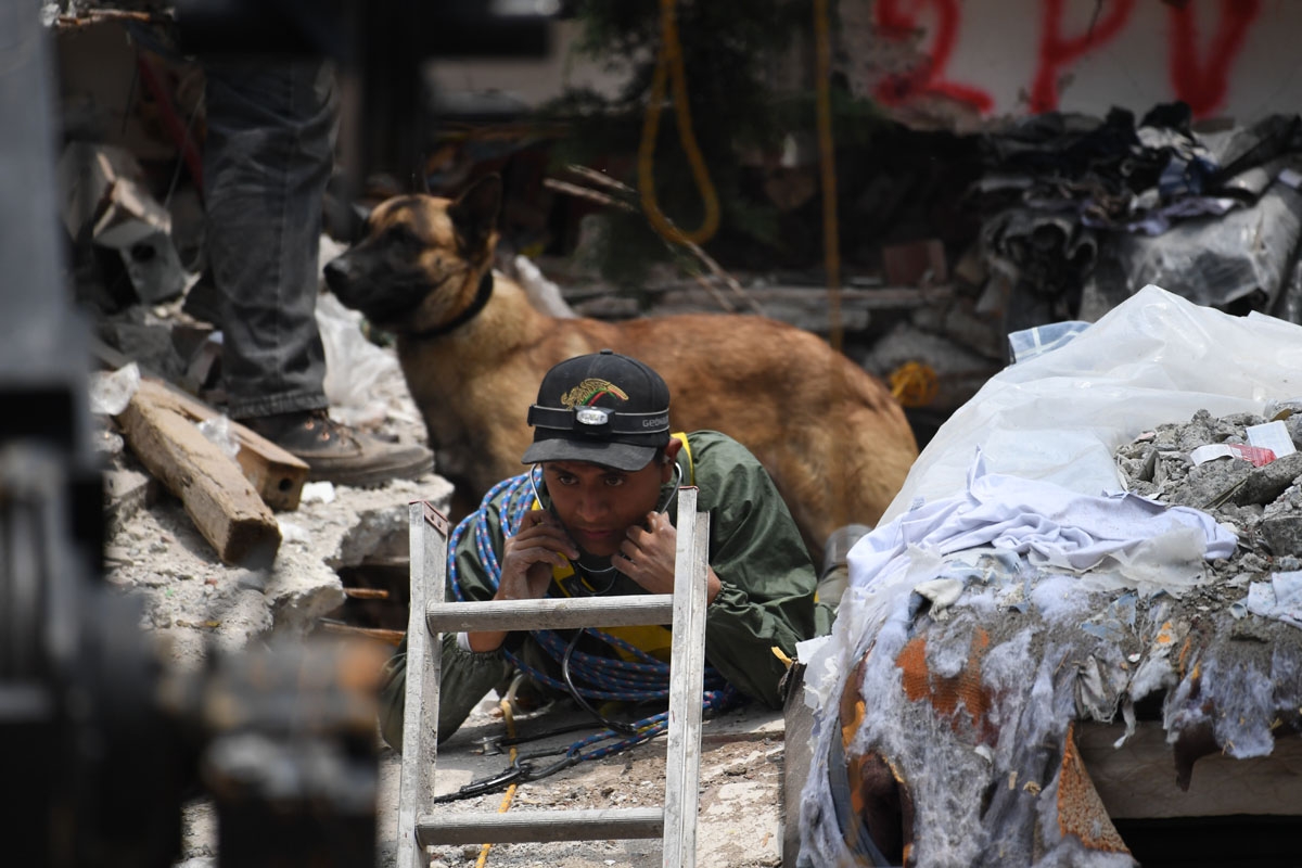 A sniffer dog stands behind a rescue worker taking part in the search for survivors in Mexico City on September 21, 2017 two days after a strong quake hit central Mexico.