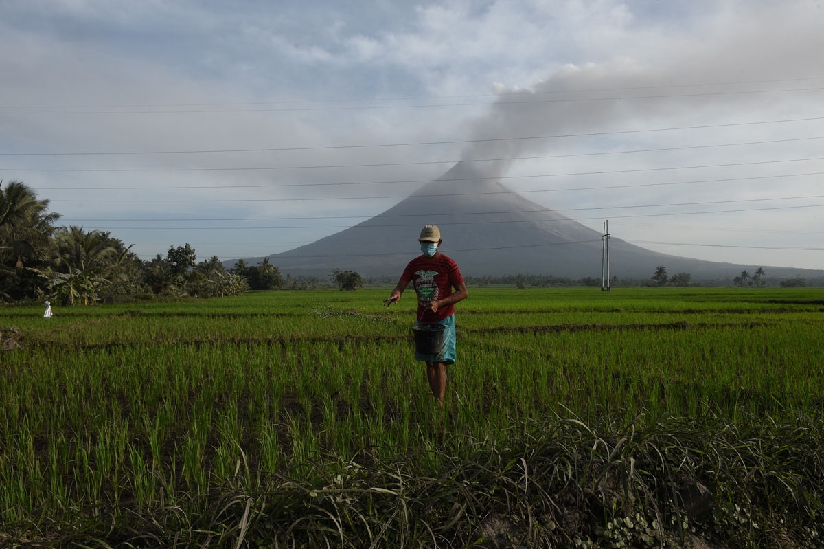 Farming as Mayon grumbles, January 30, 2018.