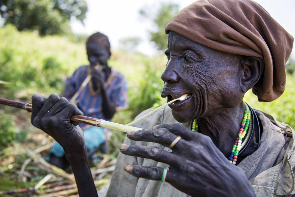 Akech Yai and (background) her granddaughter Abuk Gang (12) eat sorghum canes collected from other cultivators' land which was damaged due to the dry spell, on October 12, 2016 in Aweil.