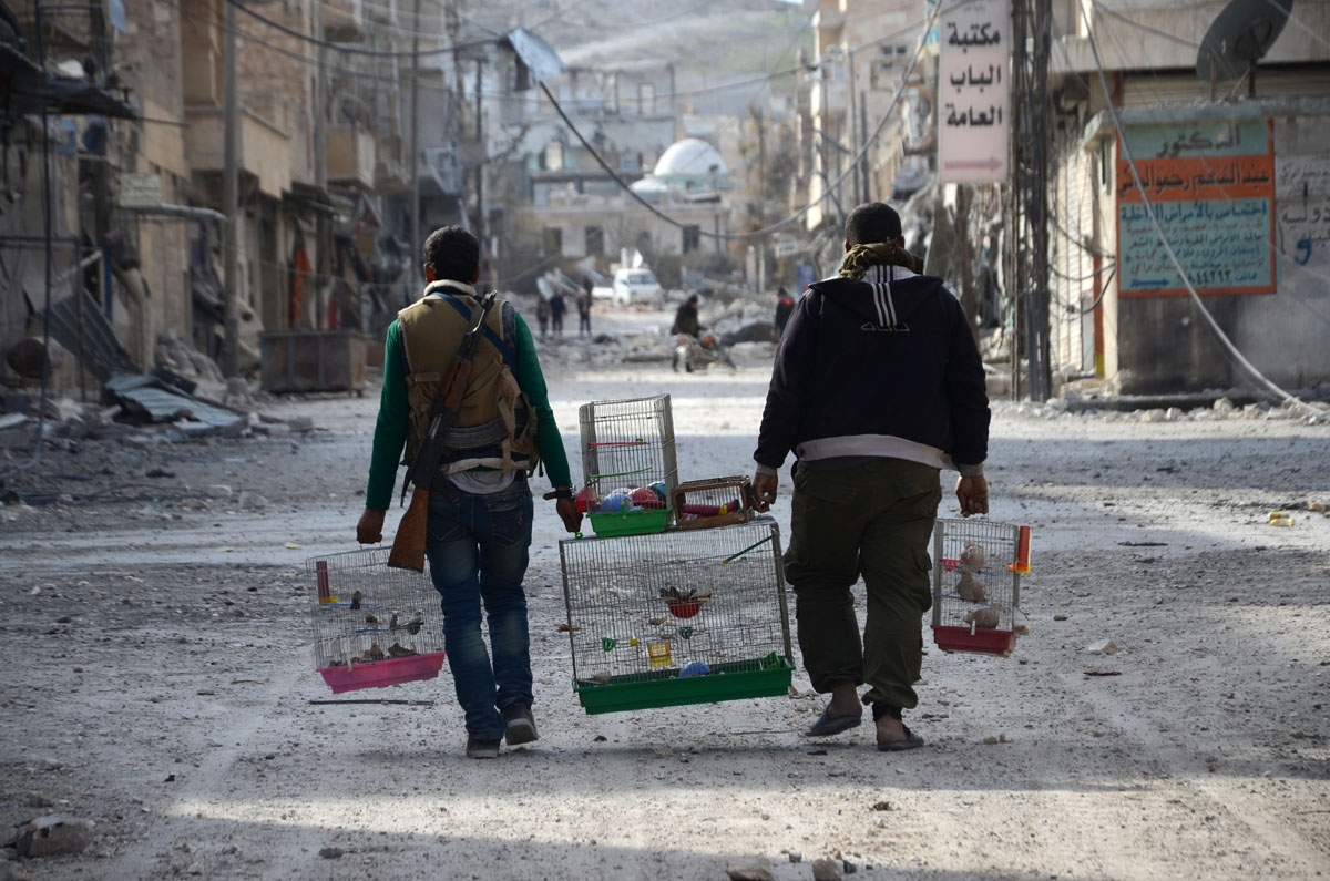Rebeldes sirios cargan jaulas de aves en la ciudad fronteriza de al-Bab, el 24 de febrero de 2017