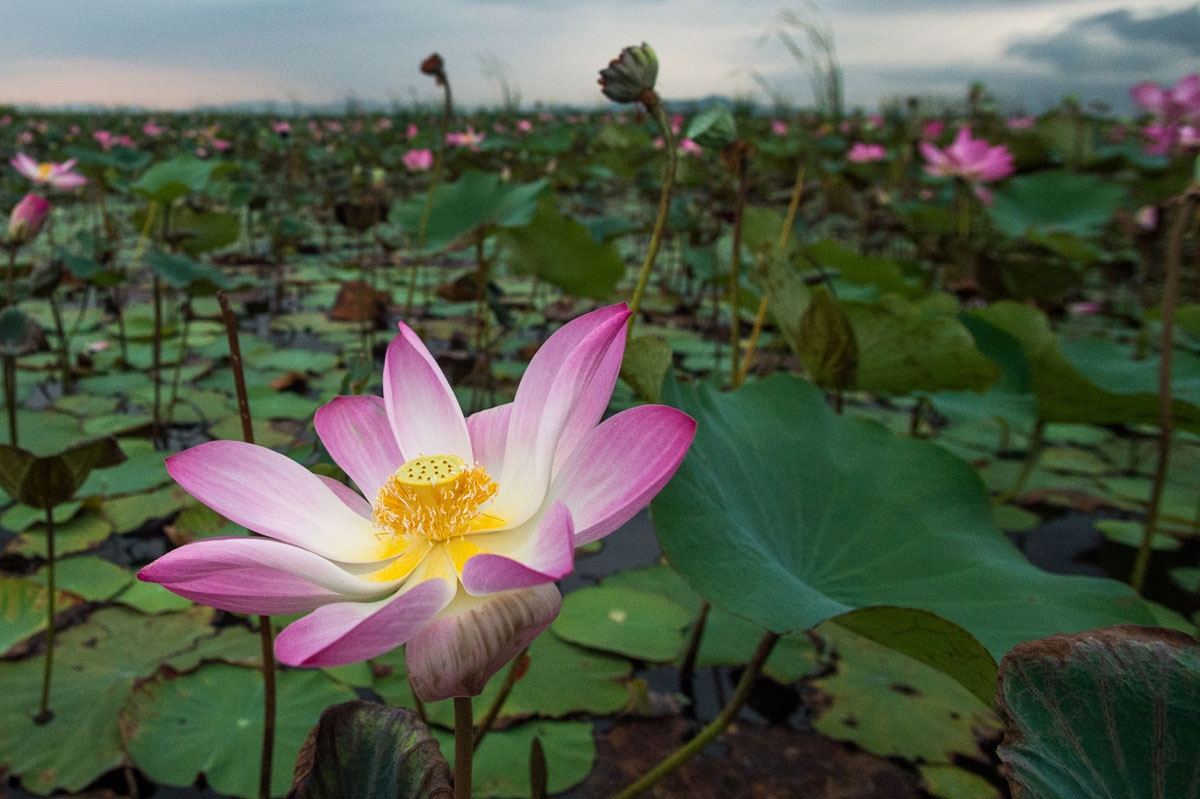 Parque Nacional de Khao Sam Roi Yot, el 5 de mayo de 2017.