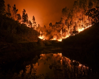 A wildfire is reflected in a stream at Penela, Coimbra, central Portugal, on June 18, 2017. 