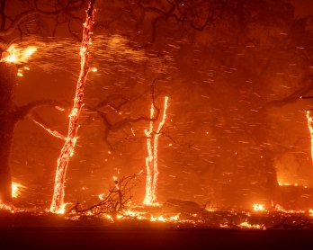Embers fly as wind and flames from the Camp fire tear through Paradise, California on November 8, 2018. -